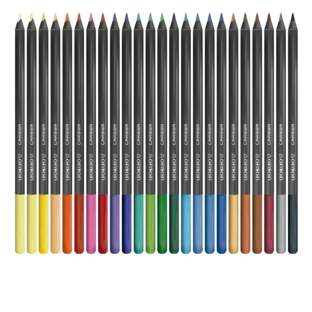 Lapis De Cor 24 Cores Carbon Leoeleo Redondo