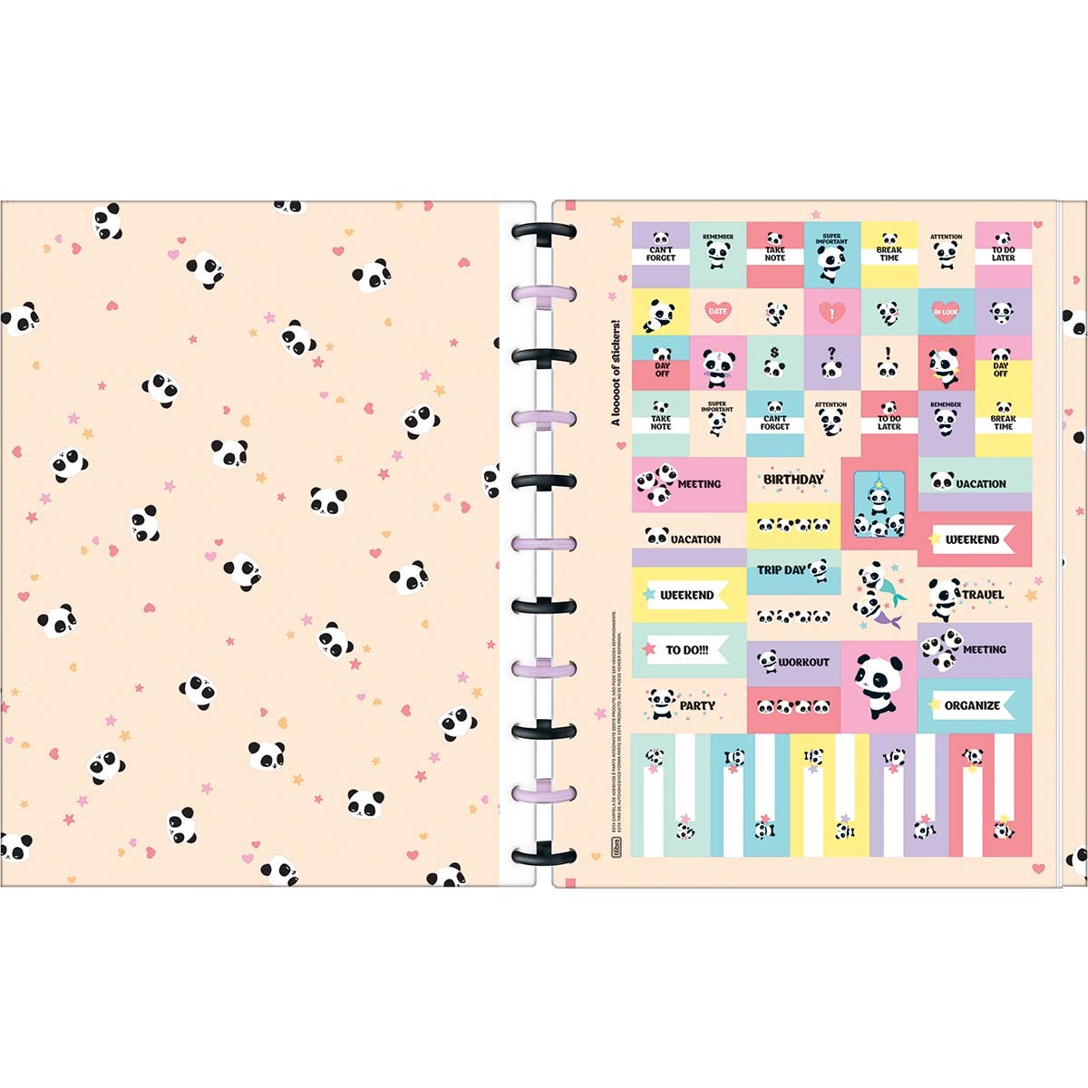 Caderno Tilidisco Universitario Connect 1...