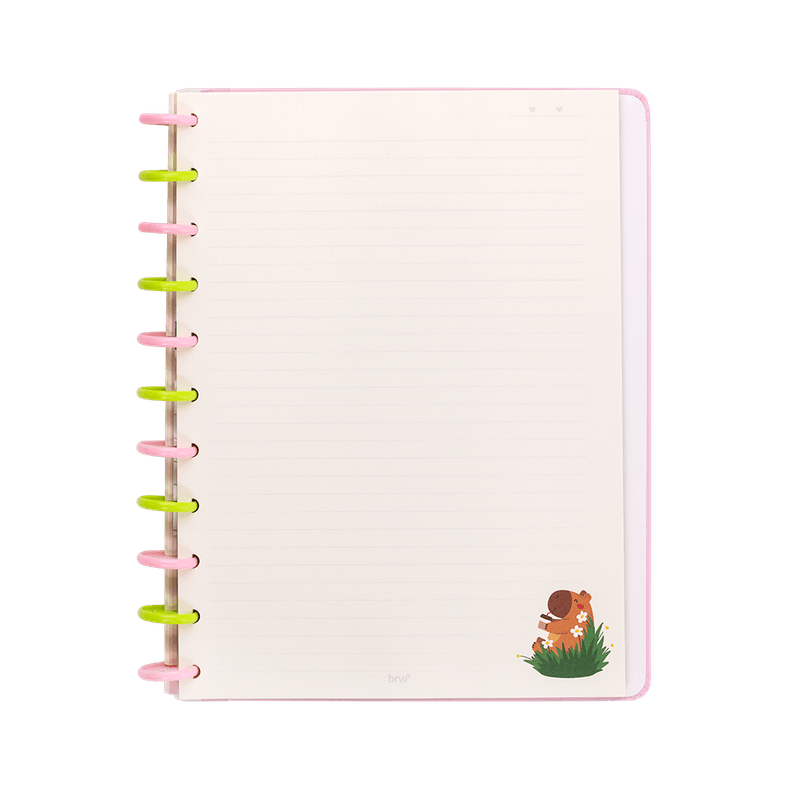 Caderno DISCO CAPIVARA - 280X215 - 80 FOL...