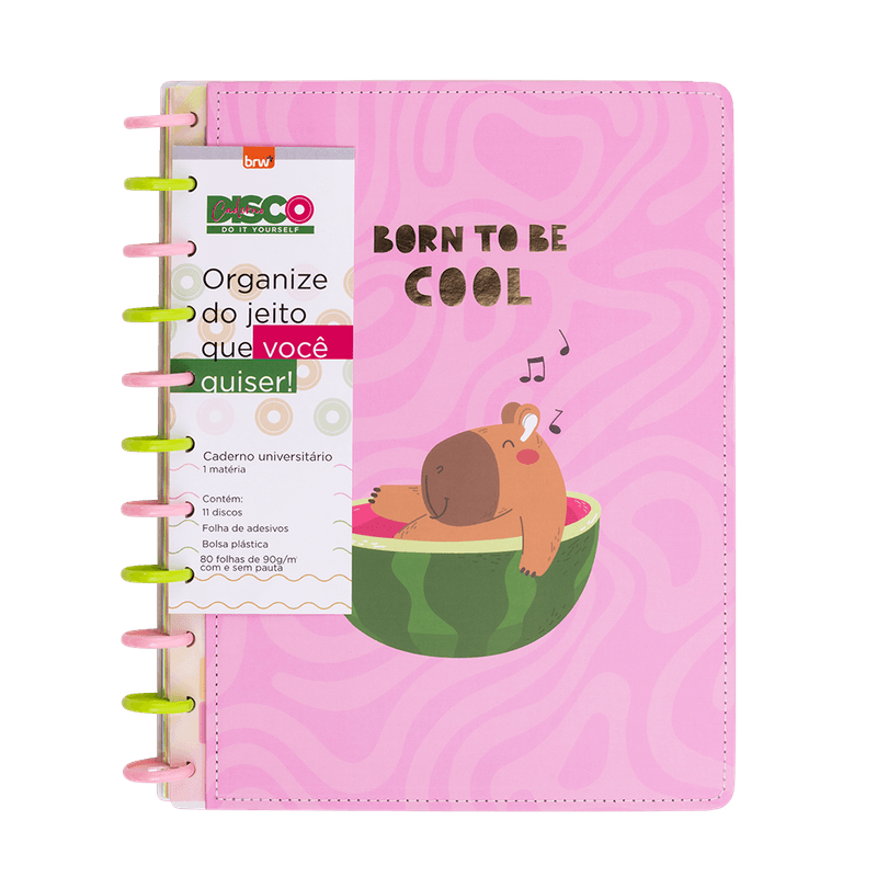 Caderno DISCO CAPIVARA - 280X215 - 80 FOL...