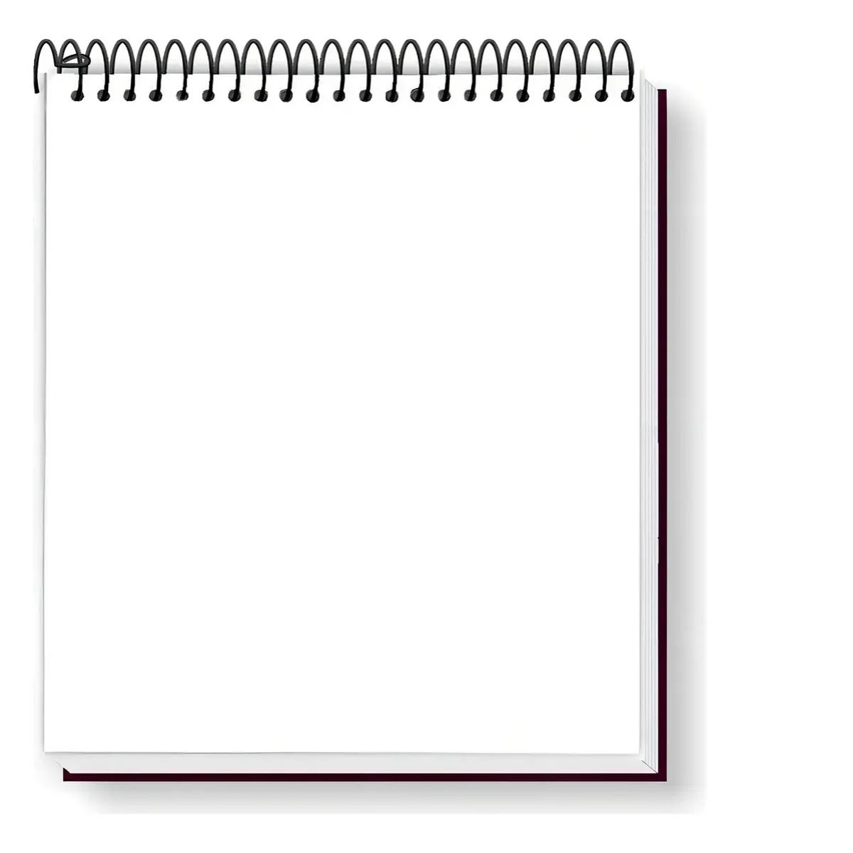 Caderno Sem Pauta Para Canhotos Tamoio F ...